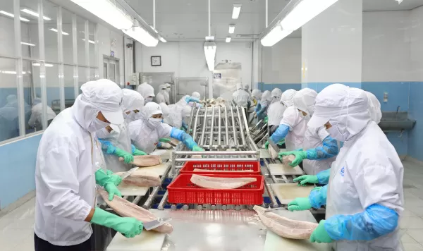 Anova scales up production of MSC cod and MSC tuna